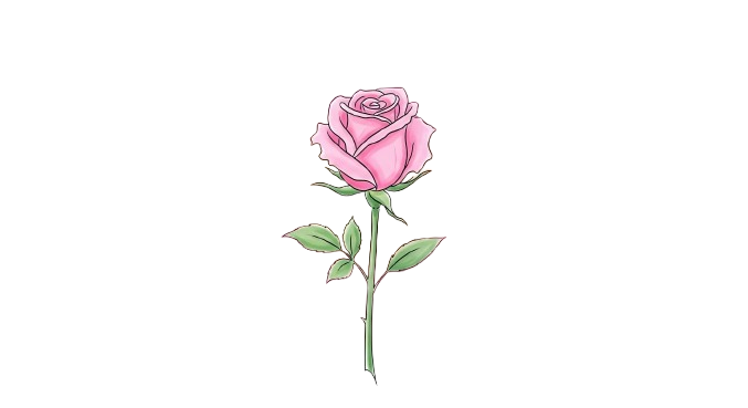 Blooming With A. Rose